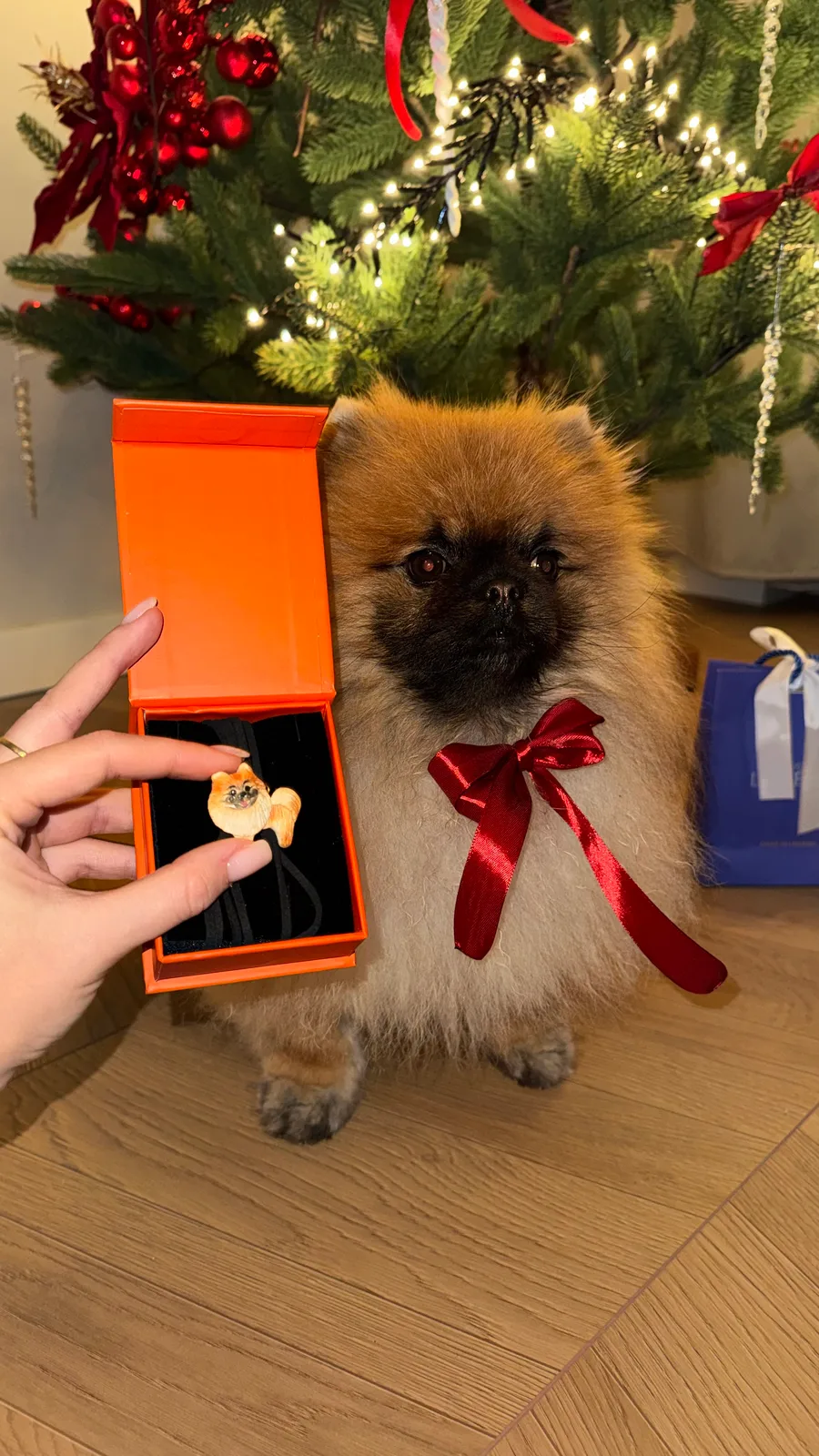 Улюбленець “Pomeranian” - Замшева мотузка, Полімерна глина - арт. LE-1765374281137 - Le'Perle - фото 4