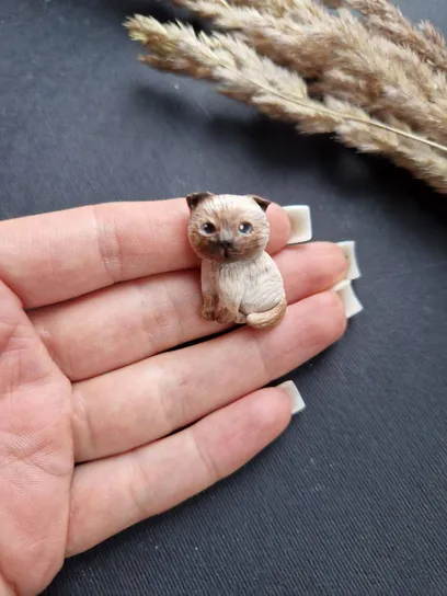 Улюбленець “Scottish Fold”