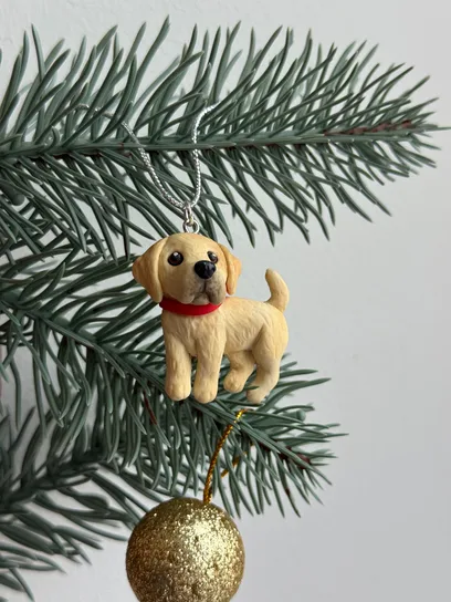 Улюбленець “Labrador”