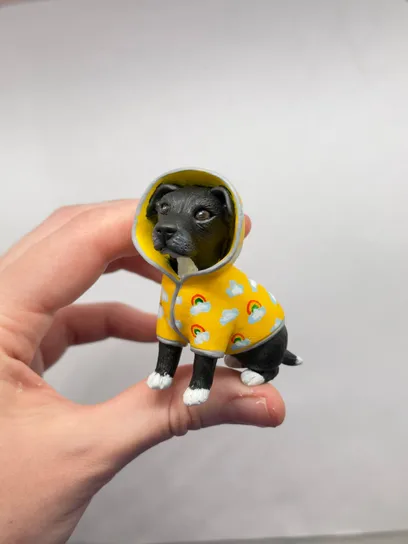 Улюбленець “Big Dog”